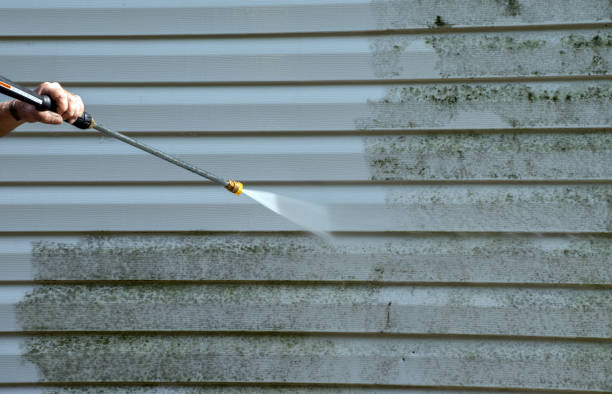 Best Roof Cleaning and Mildew Removal in Union, MS